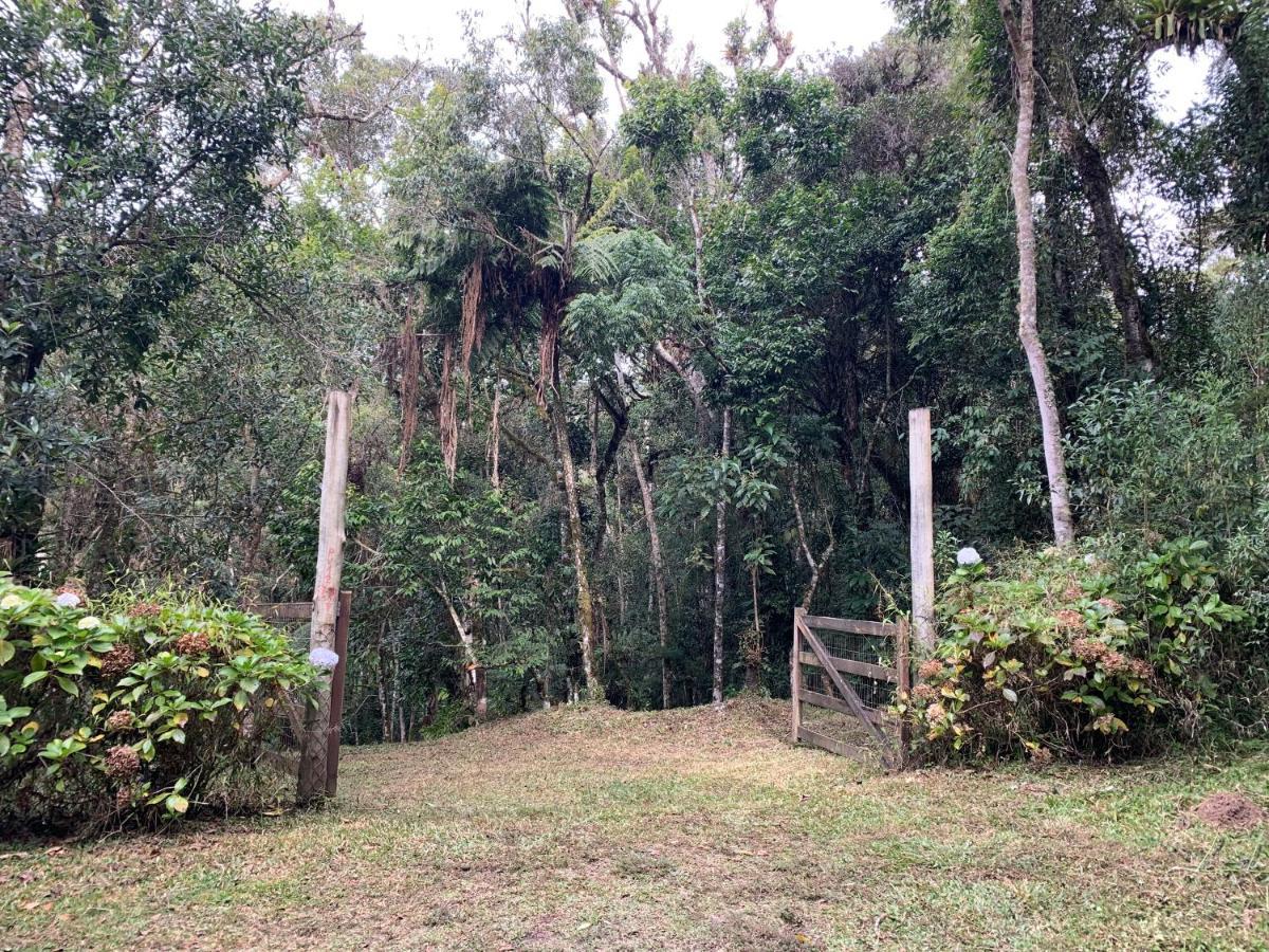 Do Vale Em Campos Do Jordão/sp Apartamento