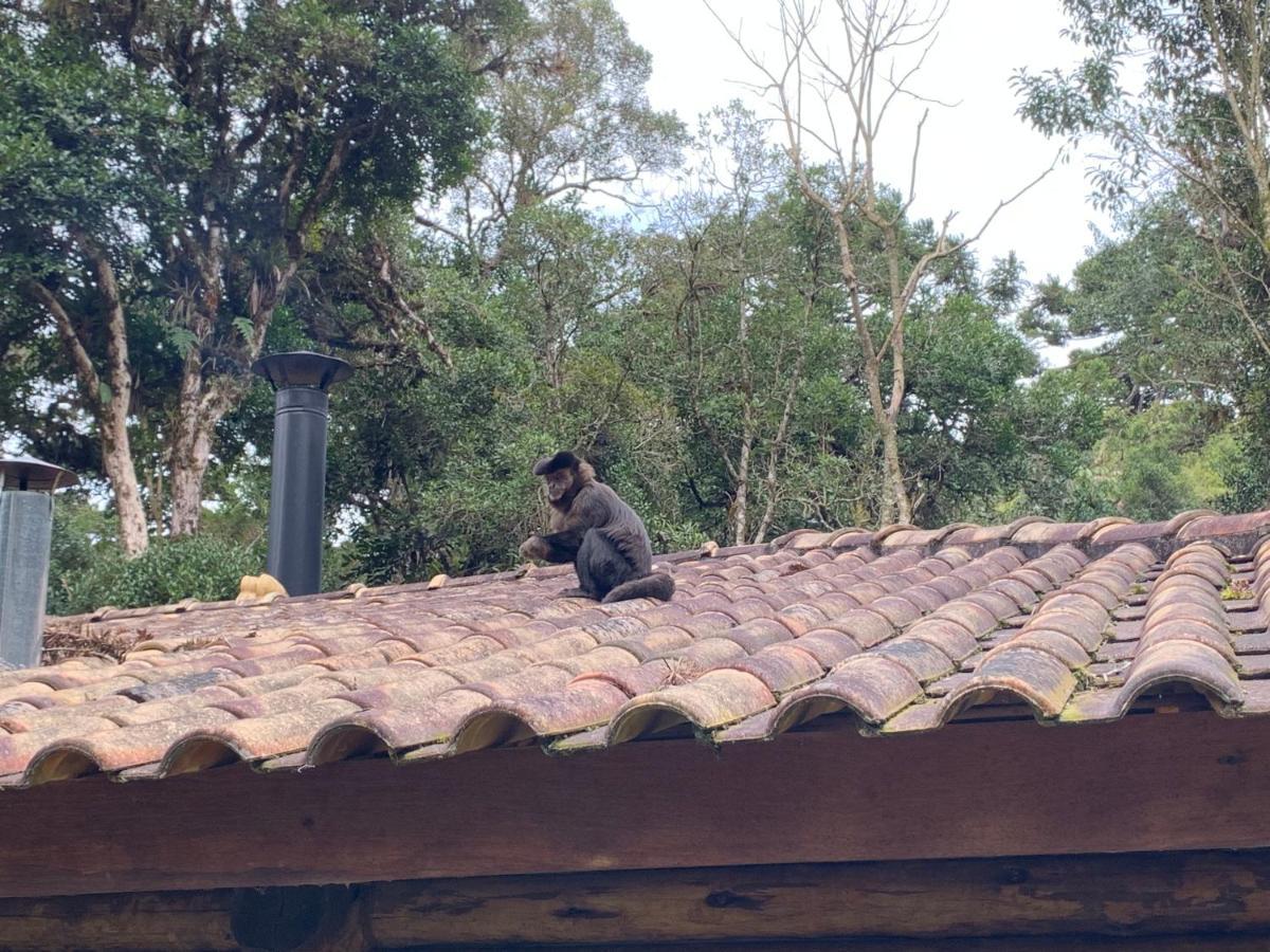Do Vale Em Campos Do Jordão/sp Apartamento *